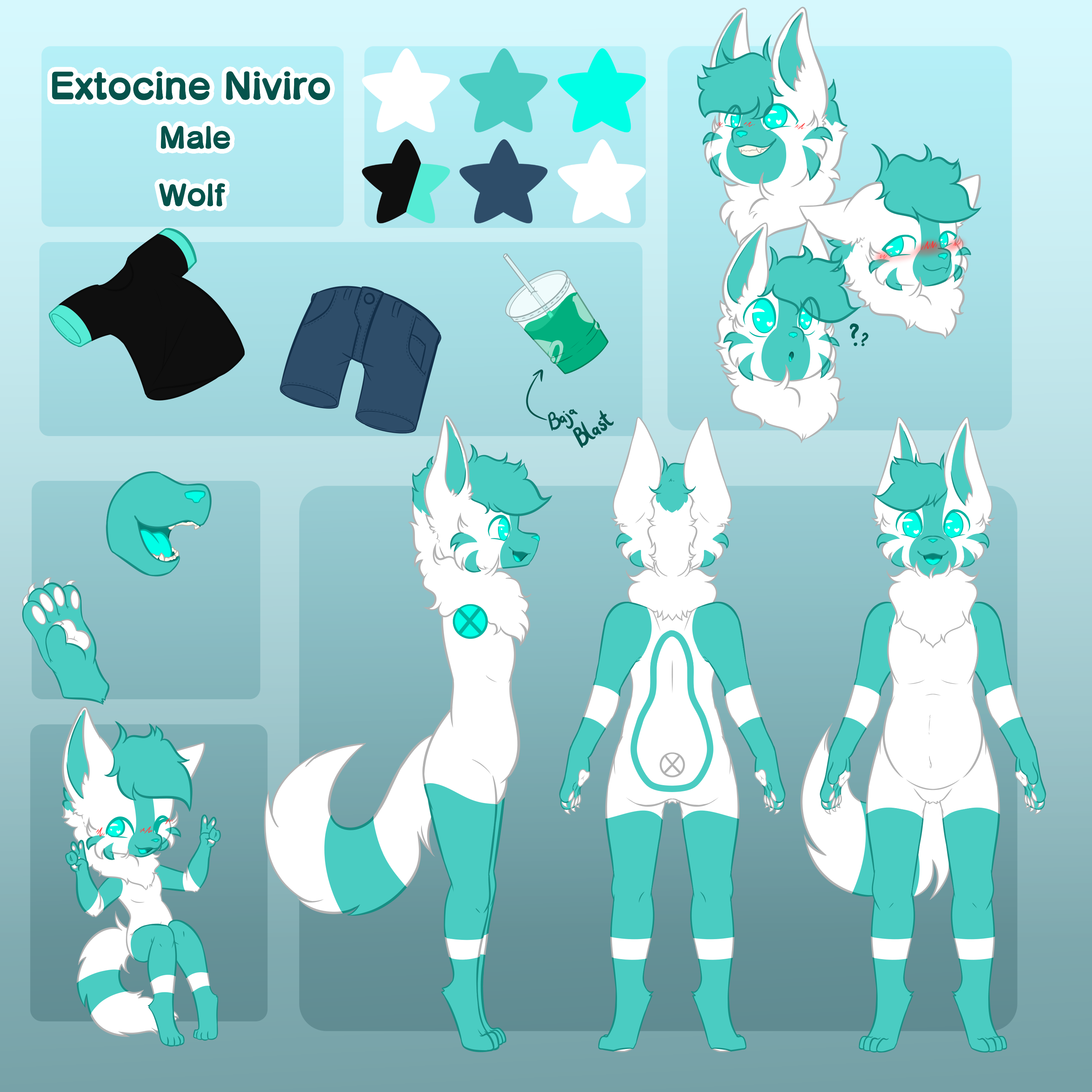 Refrence Sheet (By fox2424 on Furry Amino)